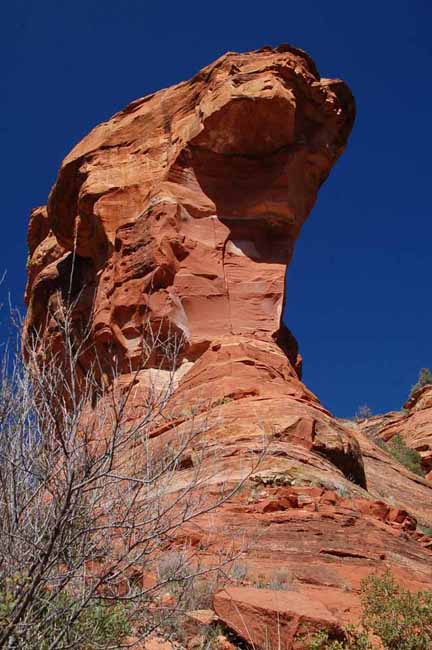 Fay Canyon Trail